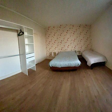 סן-דיזייה Agreable Maison De Ville Avec Jardin מראה חיצוני תמונה